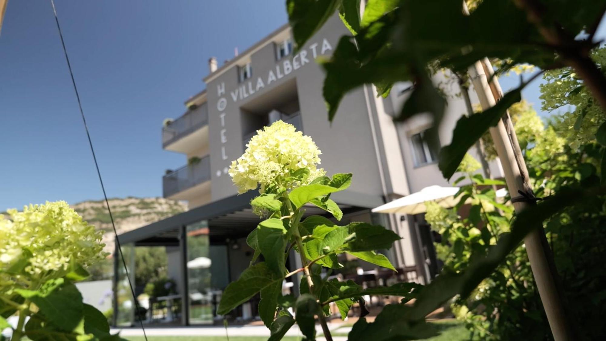 נאגו Hotel Villa Alberta מראה חיצוני תמונה